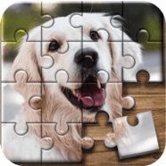 Jigsaw Puzzle