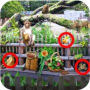 Zoo Mysteries