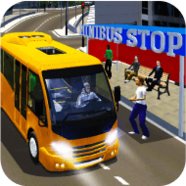 City Minibus Driver