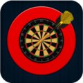 Darts Pro Multiplayer