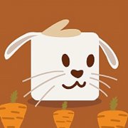 Bunny Hop Puzzle