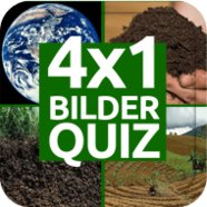 4x1 Picture Quiz