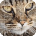 Jigsaw Puzzle Classic