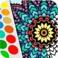 Mandala Coloring Book